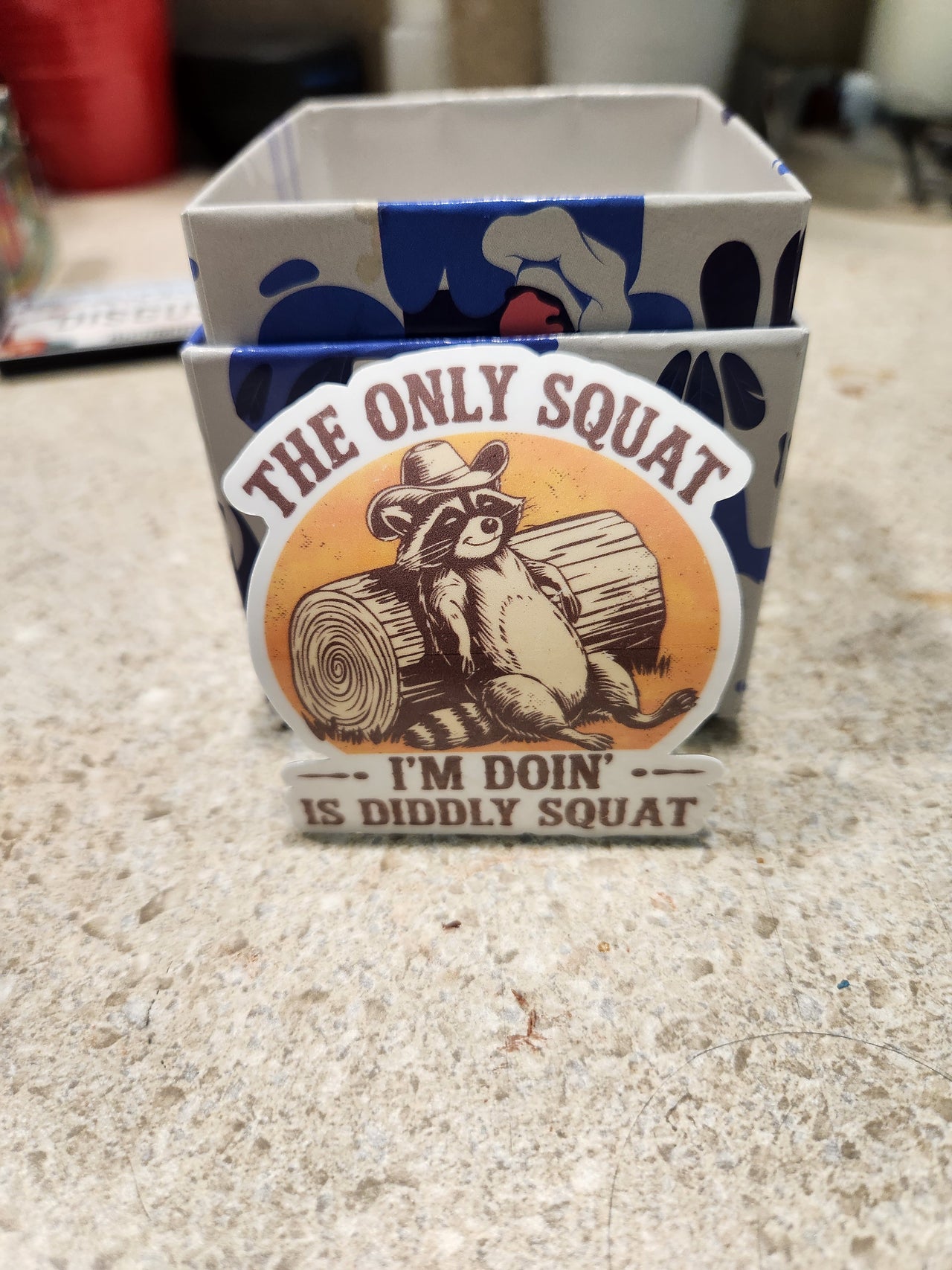 The Only Squat I'm Doin' Raccoon Sticker