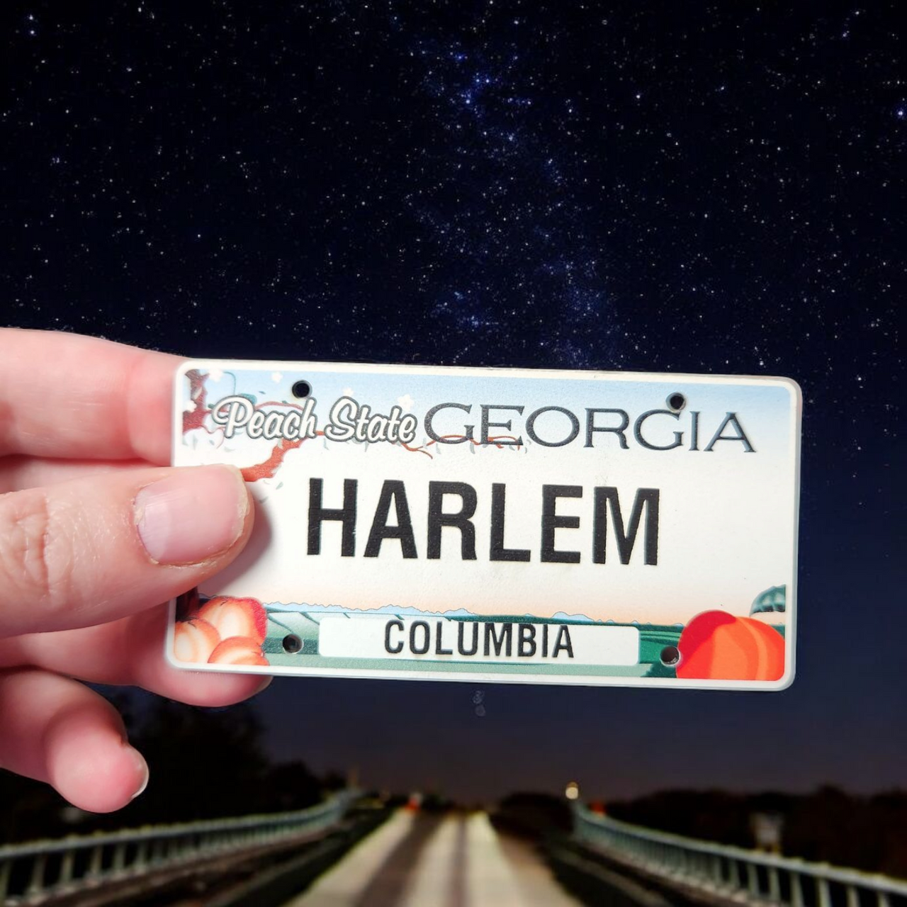 Harlem GA License Plate Hat – Small Town, Big Style