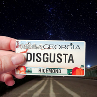 Thumbnail for Disgusta GA License Plate Hat – Love It or Leave It