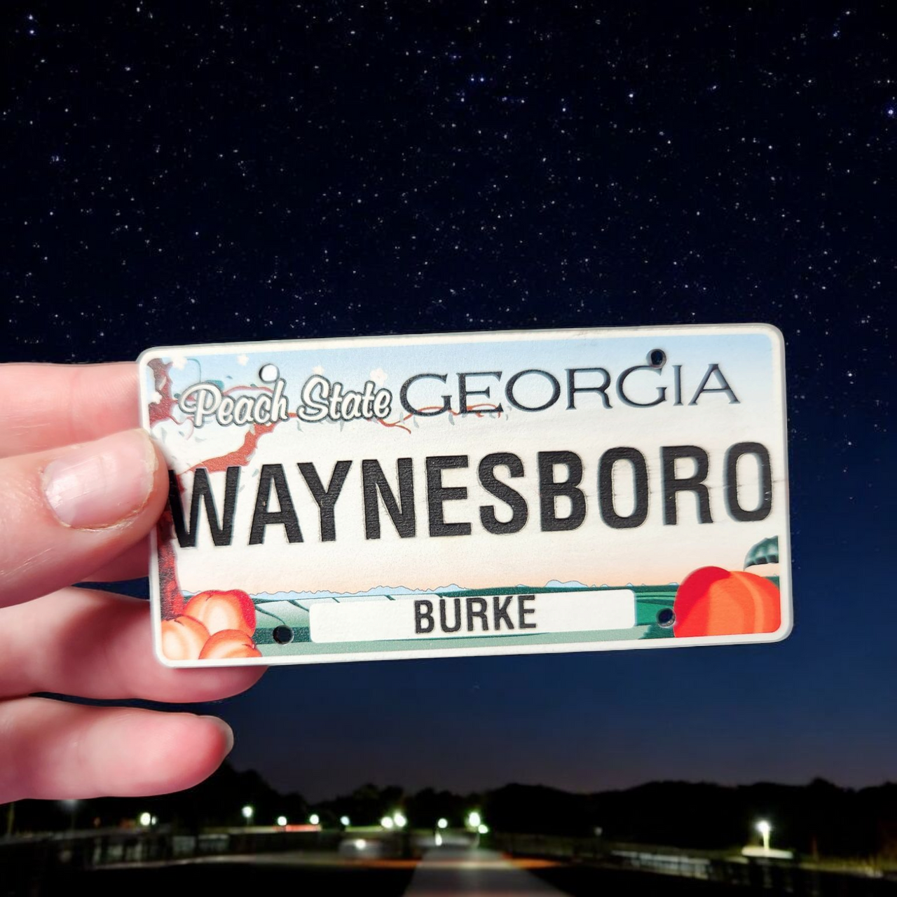 Waynesboro GA License Plate Hat – The Bird Dog City