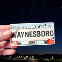 Thumbnail for Waynesboro GA License Plate Hat – The Bird Dog City