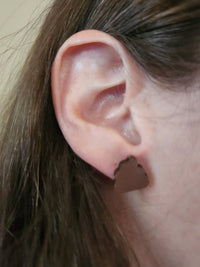 Thumbnail for Poop Wood Stud Earrings - Funny Fashion Earring - Stud Earring - Charm and Char