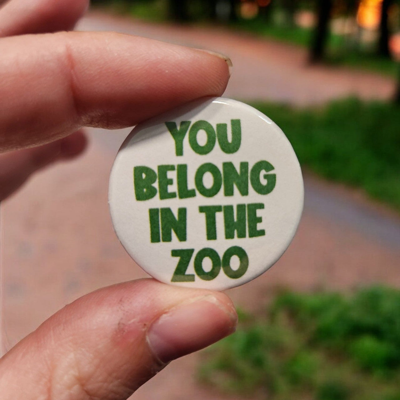 you belong in the zoo pin